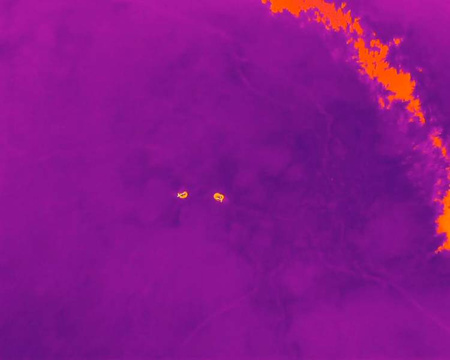 Hunter's kit. Drone with thermal imaging for animal rescue and hunting. EXPERTER version.