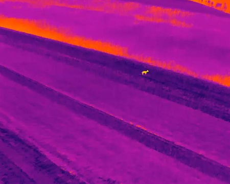 Hunter's kit. Drone with thermal imaging for animal rescue and hunting. EXPERTER version.