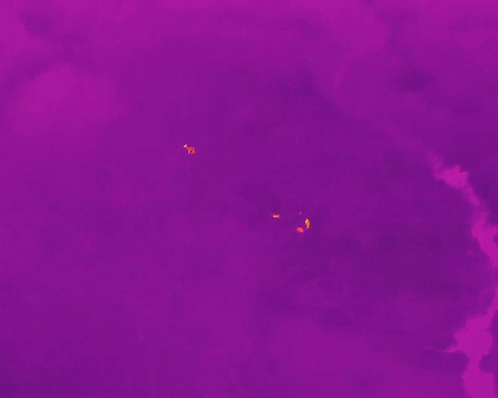 Hunter's kit. Drone with thermal imaging for animal rescue and hunting. EXPERTER version.