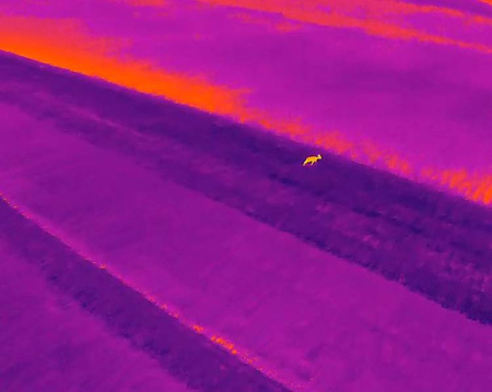 Zestaw myśliwego. Dron z termowizją H520E + E20Tvx do ratowania i polowań na zwierzęta. Wersja EKSPERT